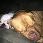 Barkleigh & Titan