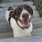 Maggie