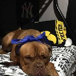 Titan